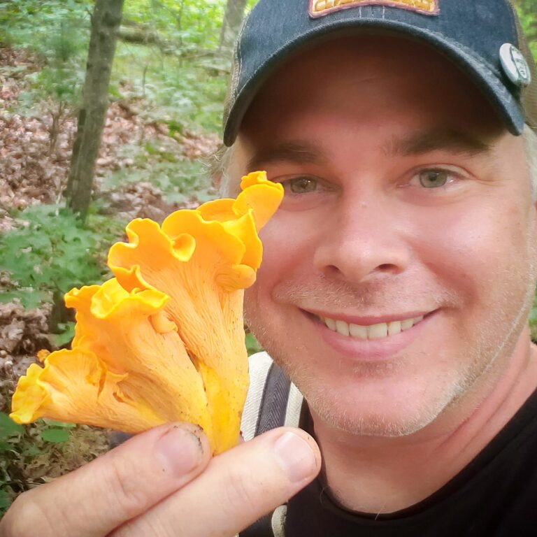 How to Clean Chanterelle Mushrooms